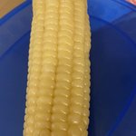 <b>야밤</b>에 옥수수 먹방