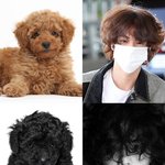 [방탄소년단] 갈<b>푸</b>깜푸