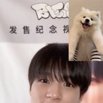 [NCT드림] <b>똘망똘망</b> 강쥐