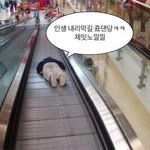 [드루와] 모르는 남자애들한테 <b>얼</b><b>평</b>당함;;