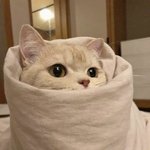 [NCT드림] 이거 <b>민이</b>