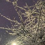 짝남 <b>전번</b> 땃는데