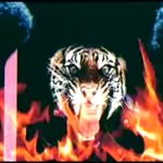 [댓글좀써줘] 이태원 압사 사고 대예고 뮤비 이태원프리덤..