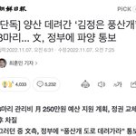 강아지 <b>관리비</b> 안준다고 파양