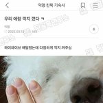 그냥 ㅎ <b>포기</b>하고싶당..