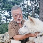 문재인이 키우는 풍산개 표정