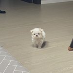 <b>쌍</b><b>액</b>하는애들 개신기하네