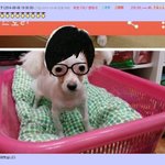 [댓글부탁해] 하 심란해<b>사</b> 잠이 <b>안</b>오네