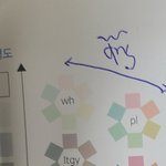 <b>퍼</b><b>컬</b> 이거 뭐라고 읽어???