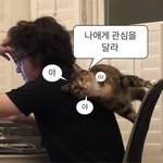 [드루와] 나 <b>예지</b>몽 ㅈㄴ 잘꿈