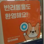 반려<b>동물</b> 허용하는 가게들은 이것좀 붙였으면