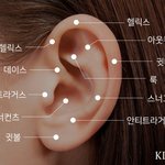 피어싱 어느 <b>부위</b>가 제일 예뻐??