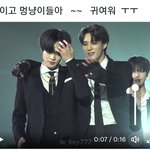 [NCT드림] 이것좀 바바 멍냥이들 너무 이뻐 ㅠㅠㅠ