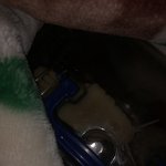 [19] 아 키우던 달팽이 버리고싶었는데