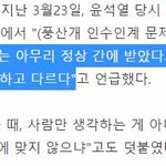 [이것좀봐줘] 문재인 개 파양 팩트만 체크해준다