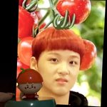 [NCT드림] 이거 봐봐 ㅈㄴ ㄱㅇㅇ