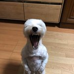 짝남이랑 손 <b>잡음</b>….