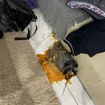 이거 어<b>카지</b>..?