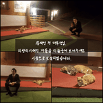 허경영이 문재인 풍산개 달라고 하는데