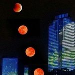 탈모갤 영구탈퇴 달사진