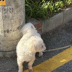 [드루와] 짝남한테 빼빼로 받았음