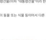 풍산개 논란에 대한 개인적인 생각