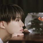 [NCT드림] 제노 요 시그사진 <b>완전</b> 이거