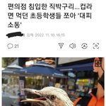 폴더로만 알던 새