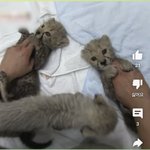 [NCT드림] 이거 <b>확대</b>해석이 아니라 ㄹㅇ 엔시티즌 아니냐ㅋㅋㅋㅋ