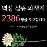 [이것좀봐줘] 이게 바로 국가가 저지른 '참사'다.