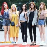 연예인 <b>비율</b>이 이럴수 있나?