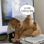 수능 <b>벼락</b>치기 하는 사람 진짜 한심하다 생각했는데
