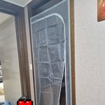 [고양이] 슬기로운 임보생활[유기묘 임시보호하기]