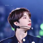 정우 <b>가쿠</b>란