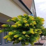보고 나면 이상하게 <b>편안</b>한 사진