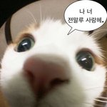 [드루와] 친구한테 이 <b>말</b> 들으면 기분나쁘다 <b>vs</b> 기분좋다