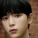 [모두드루와] <b>하이브</b>는 일본 남돌도 <b>하이브상</b>