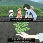 하 쌍수 짝짝이 개스트레스받음