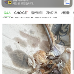 <b>포장</b>해간 치킨에 본인 머리카락넣고 협박하네요