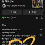 [스키즈] 스키즈  잘하고있어를 오늘도 듣는 참고<b>막들</b>