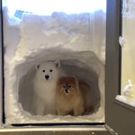 [NCT드림] ㅅㄷ 아까 <b>유튜브</b> 보다가 제노? 봤는데