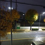 [드루와] 비온다 <b>야호</b>