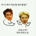 갠적으로 엑소 쌉간지라고 생각했을때