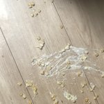 [19] 오늘의 <b>액땜</b> ◠‿◠