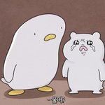 [NCT드림] 박찌송 팬들 볼 <b>때</b>마다 팔로 <b>눈</b> 위 가리는 거