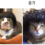 [방탄소년단] 건전지