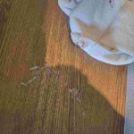 3성급 호텔의 <b>관리</b>미흡과 진상 취급