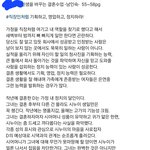 정치의 <b>달인</b>