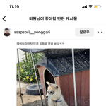 언니 자랑