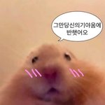 [드루와] 너네기준 제일 예쁜사람 ㄴㄱ냐